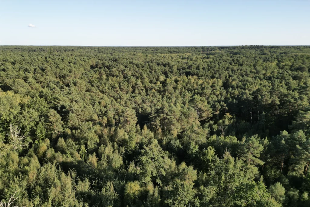 Vue aérienne d’une forêt en Sologne (France), prise par drone. Vue aérienne d’une forêt en Sologne (France), prise par drone.